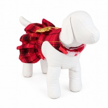 roupa para cachorro